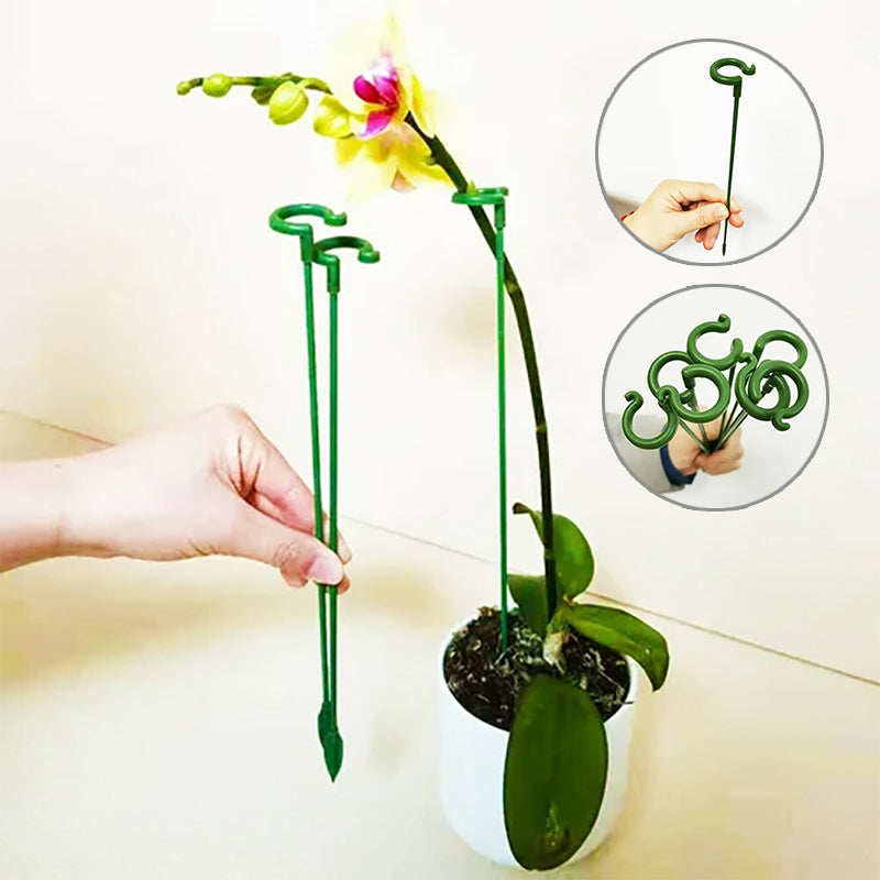 Stick di supporto speciale per piante in vaso
